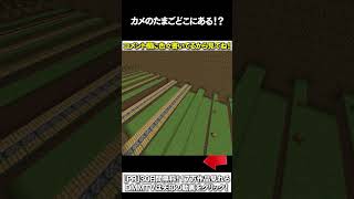 【マイクラ】カメのたまごどこにあある！？ #マイクラ #マインクラフト #逃走中  #shorts