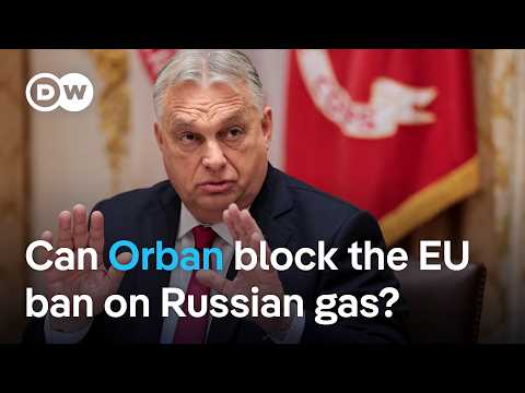Hungary challenges EU ban on Russian gas imports: DW Speaks to EU's Dan Jørgensen  | DW News