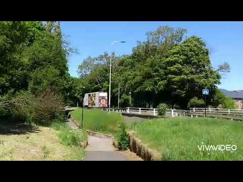 Volvo, DAF, ADL, Irizar!