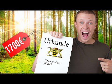 Ich habe für ___€ den günstigsten Wald gekauft.