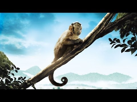 Amazonia - Abenteuer im Regenwald - Trailer [HD] Deutsch / German