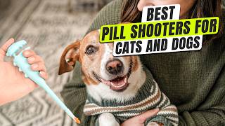 3 BEST Pill Shooter For Cat And Dog