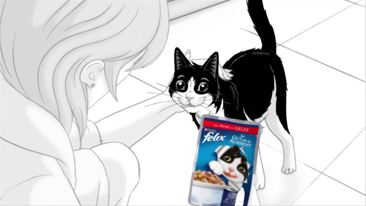 Felix Ton Balıklı Yetişkin Kedi Konservesi 85gr tanıtım video görseli