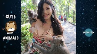 Monkey Pulls Beautiful Girls Shirt Down - Funny Monkeys Doing Stupid Things - Funniest Animals 2019