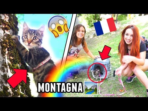 Lanalisi su vermi a bambini Vermi piccoli a bambini