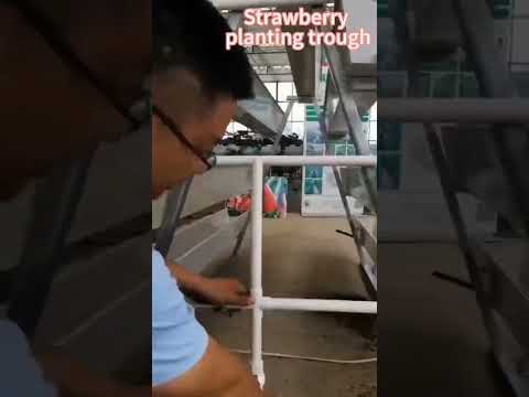 #greenhouse #hydroponics #verticalfarming #farmingsimulator19 #soilless #cultivation