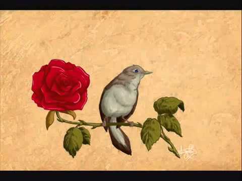 Erkan OĞUR   Cengiz ÖZKAN   Ne Feryad Edersin Divane Bülbül