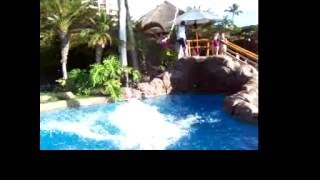 you jane ... me tarzan?