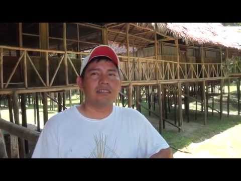 Tahuayo Lodge-#1 Lodge in Western Amazon Jungle, Peru