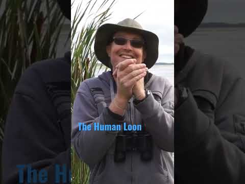 How to make a Loon call #Funny #nature #birds #shorts #youtubeshorts #loon loon