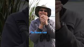 How to make a Loon call #Funny #nature #birds #shorts #youtubeshorts #loon loon