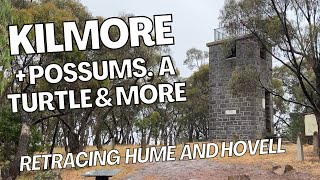 The Kilmore Monument on Monument Hill plus a few surprises animal sightings