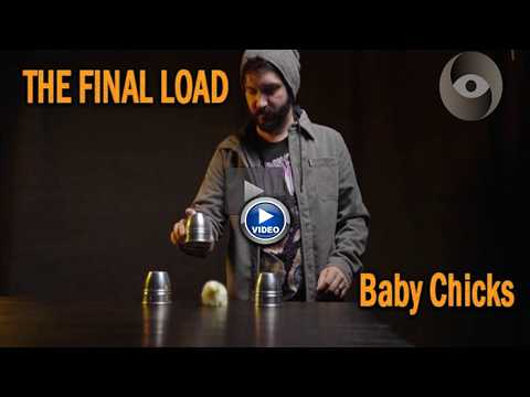 Voir la vidéo de THE FINAL LOAD (Baby Chicks) - Murphy's Magic
