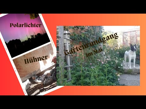 Gartenrundgang im Mai/Selbstversorger Hühner und Polarlicht in Bayern