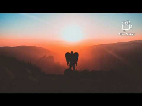 Show Me The Way - Vintage Culture, Shapeless & Padox (ft. FM LAETI) Tradução