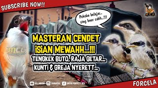 Download lagu MASTERAN CENDET filled with Tengkek Buto, Kunti, Raja Getar & Greja Nyerett Panjang mp3 Download lagu MASTERAN CENDET filled with Tengkek Buto, Kunti, Raja Getar & Greja Nyerett Panjang mp3