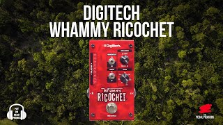 Video thumbnail for Digitech WHAMMY RICOCHET #digitech #whammy by The Pedal Picassos