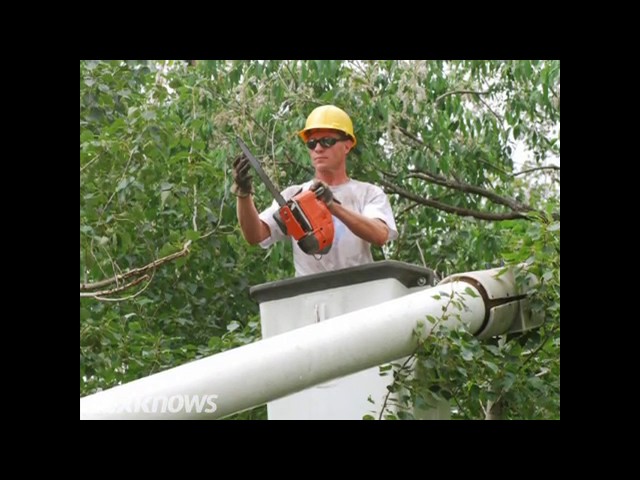A1 Tree Service - West Des Moines, IA