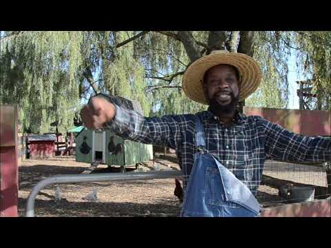 Deebzlenuz - Jah Guide Me - (Official Music Video)