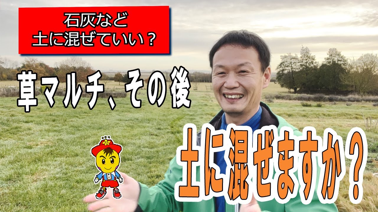 イギリスの晩秋の畑と自然栽培の疑問|草マルチのすき込み・交雑対策・無肥料の考え方