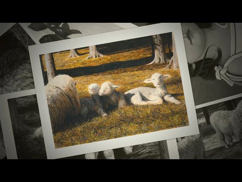 Thomas Clements Nature Paintings Slideshow