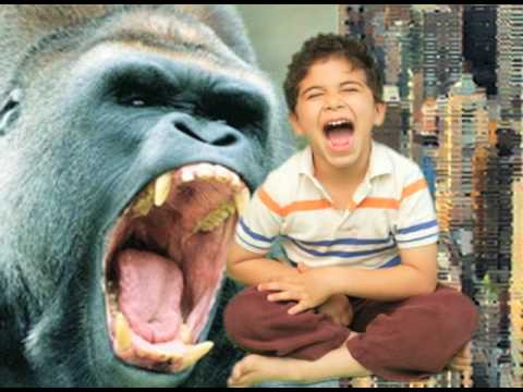 YouTube Thumbnail