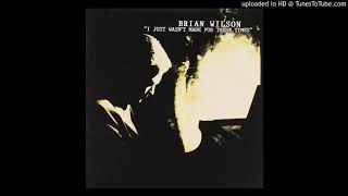 Beach Boys - I Just Wasn&#39;t Made For These Times (slowed)