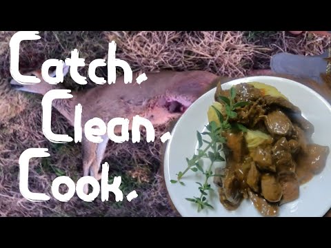 Grey Duiker Catch Clean And Cook