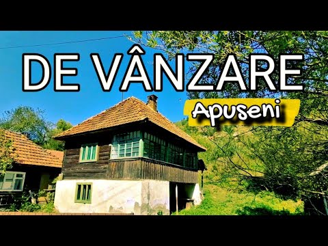 Casă și terenuri de vânzare în satul Ponorel din Apuseni. Cât costă și cum arată zona