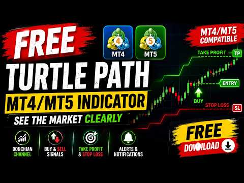 Video Turtle Path MT5