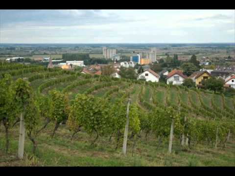 grupa "ZELENI VAL" 1985 - Podravska Slatina