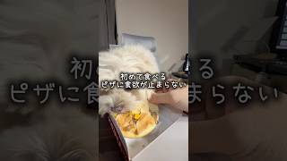 3歳の誕生日にピザを与えました