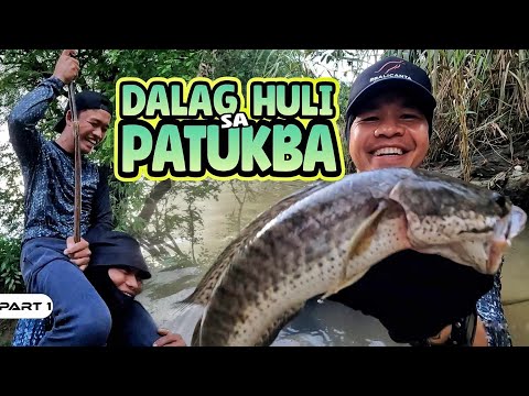 P1-DALAG HULI SA PATUKBA - EP1129