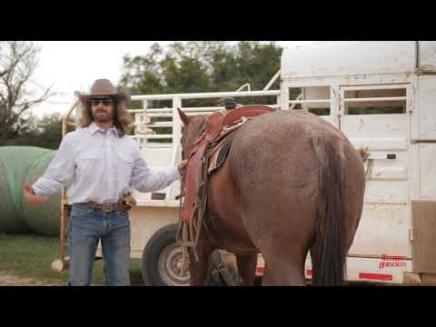 Dale Brisby—It's Cool to be Cowboy