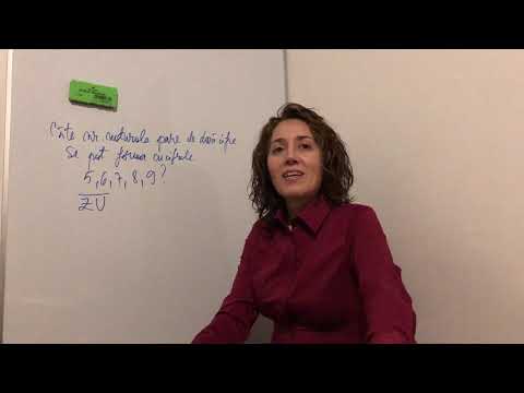 8.Bac-ul pentru începători/Probleme de numarare (ex 4/sub I)