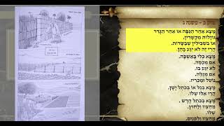 משניות בבא מציעא פרק במשנה ג