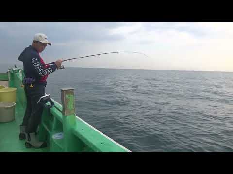 Puerto de Hirakata Daieimaru 2 de noviembre Escena de pesca de Hitotsu Tenyamadai