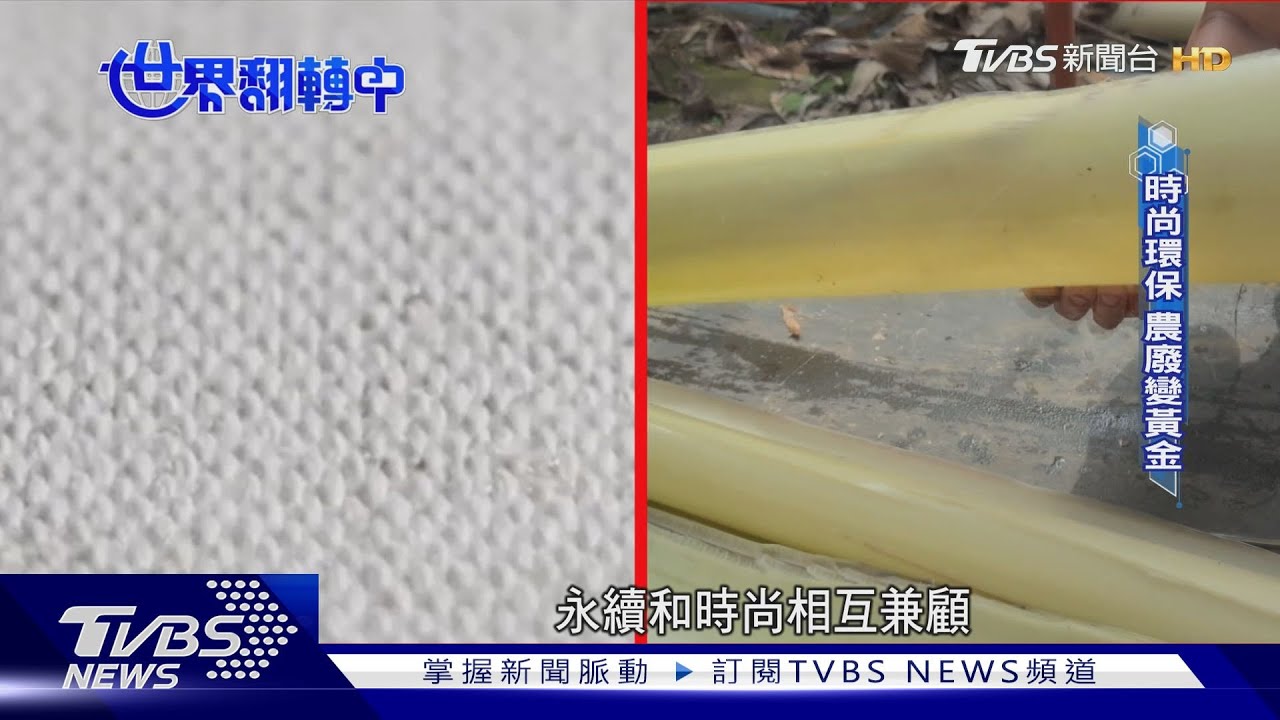 「鳳梨葉+香蕉假莖」不再丟棄 取纖變時尚衣、包