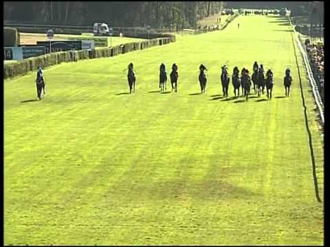 Hoppegarten,  Finale der Sparkassen Sprint-Serie - Endlauf, 3.10.12, Sieger: Ach was