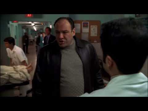 Sopranos quote, Tony: we're gonna sue the goddamn justice department