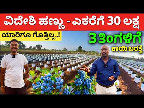 Bharat Berries video 1