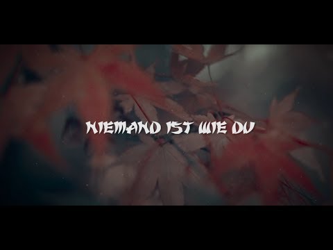 Deniz & Mark Brukal - Niemand Ist wie Du (Official Video)
