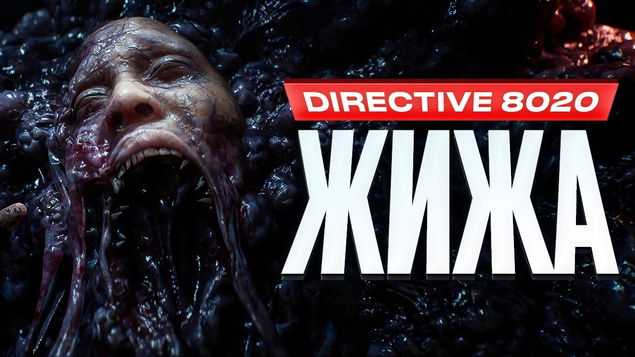 Обзор Directive 8020