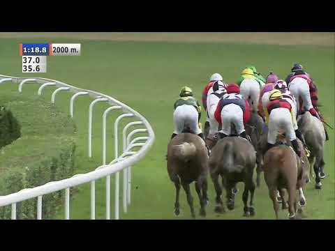 🇵🇱 Poland 27/7/2019 : Lazom Al Khalediah