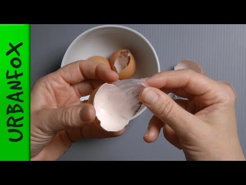 download lagu mp3 mp4 How To Clean Egg Shells For Crafts, download lagu How To Clean Egg Shells For Crafts gratis, unduh video klip How To Clean Egg Shells For Crafts