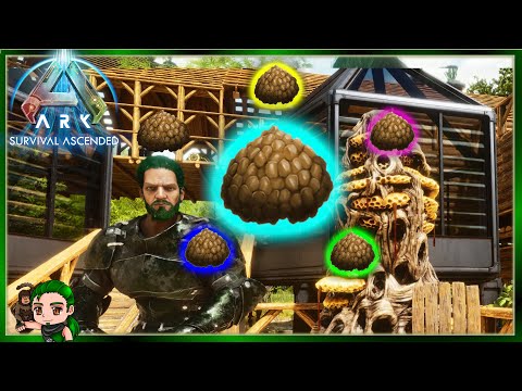 Kibble A-Z Everything You Need to Know in Ark Survival Ascended