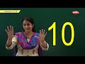 Pre School Lessons LKG Lessons Pebbles Kids Learning