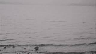 Loving - No Mast video