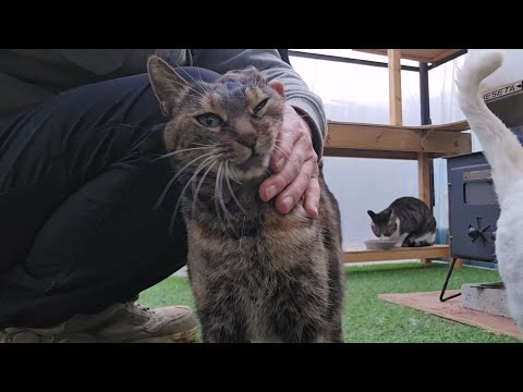 5년만에 드디어