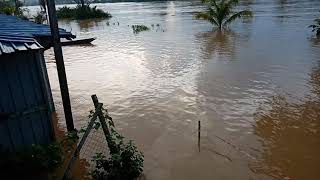 preview picture of video 'Banjir di Kampung Dagang Tatau .'